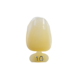 1002168_UK_Product_01_s_-HS-Temporary-Crown-Polycarbonate-Refill-10-5pk.png