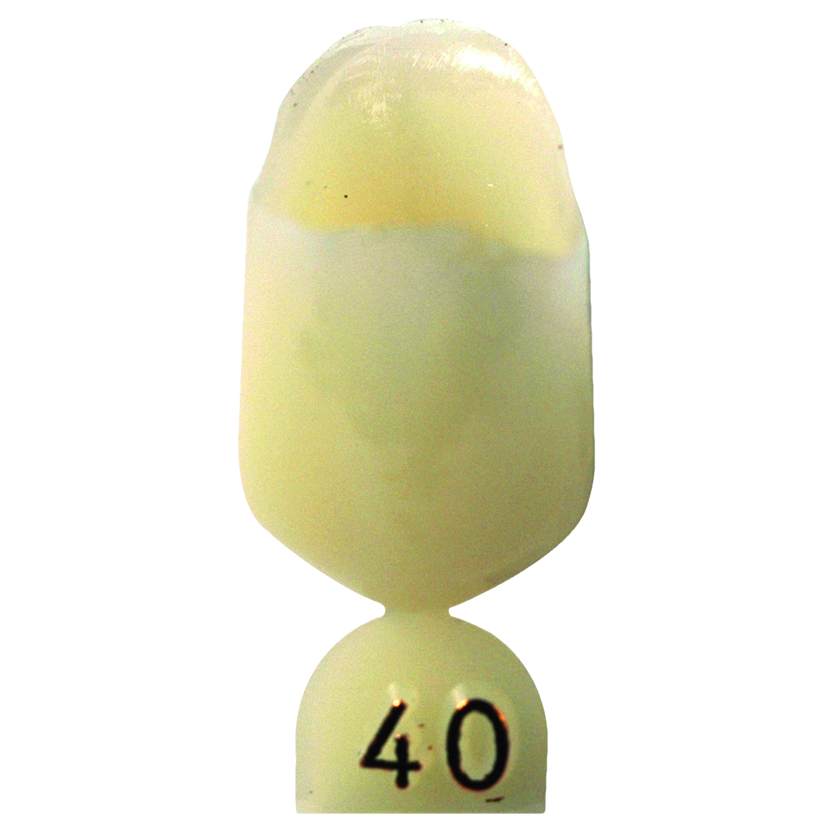 HS Temporary Crown Polycarbonate Refill 40 5pk