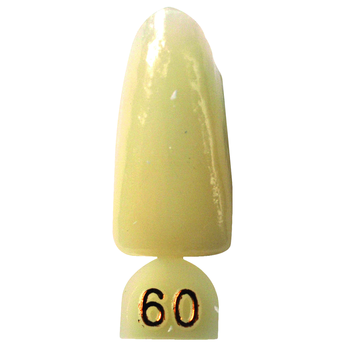 HS Temporary Crown Polycarbonate Refill 60 5pk