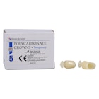 Replacement Crowns Size 40 1st Bicuspid Refill 5/Bx