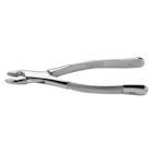 Extracting Forceps Size 99C SG Serrd Serrated Bic/Cspd & Incsr Upr Ea