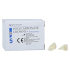 Replacement Crowns Size 29 Upper Left Lateral Refill 5/Bx