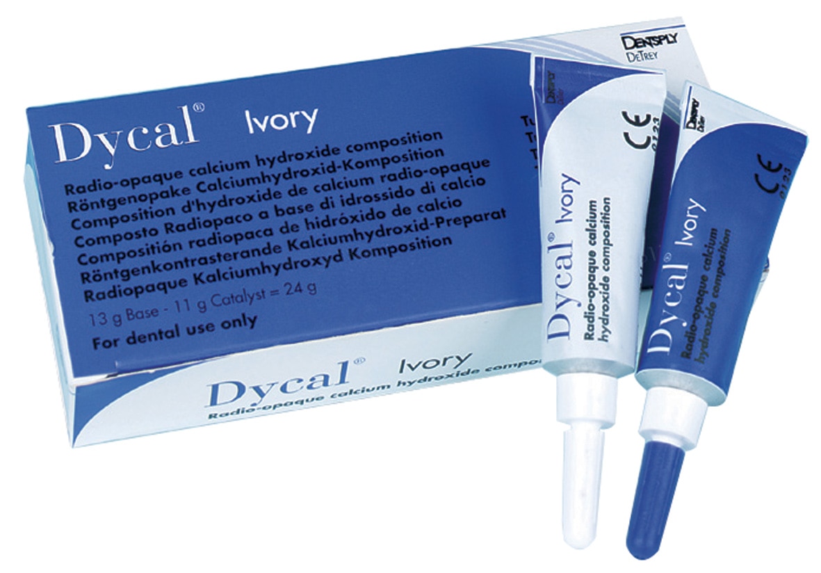 1003632_UK_Product_02_-Dycal-Ivory-Refill-Pack.jpg