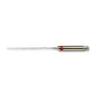 Maxima Paste Fillers - 4 (ISO 040), 25 mm