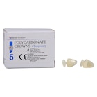 Replacement Crowns Size 31 Right Cuspid Upper & Lower Refill 5/Bx