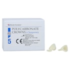 Replacement Crowns Size 34 Right Cuspid Upper & Lower Refill 5/Bx