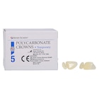 Replacement Crowns Size 14 Upper Right Central Refill 5/Bx