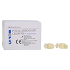 Replacement Crowns Size 42 1st Bicuspid Refill 5/Bx