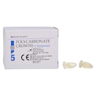 Replacement Crowns Size 65 Lower Anterior Refill 5/Bx