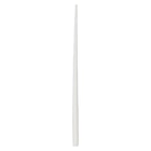 Absorbent Paper Points X-Coarse Feathered 200/Bx