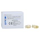 Replacement Crowns Size 52 2nd Bicuspid Refill 5/Bx