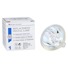 Replacement Bulb Curing Light EJV 21 Volt 150 Watt Ea