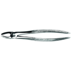 HS Forceps Upper Incisor EF1