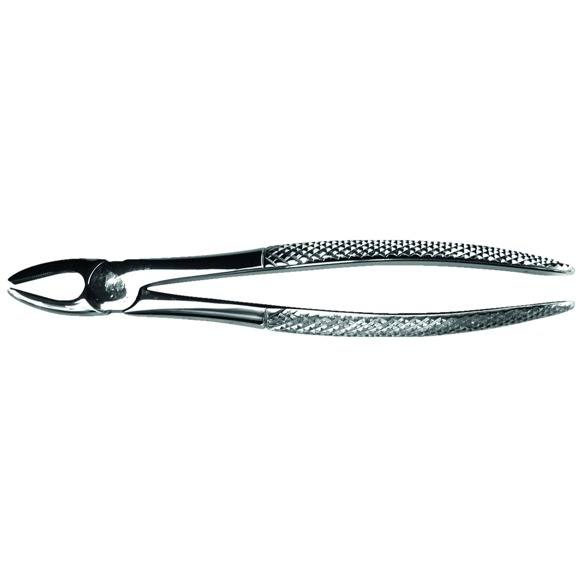 HS Forceps Upper Incisor EF1