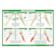 1041805_UK_Front_01_s_-Anatomy--Function-of-the-Wrist--Hand-Chart.png