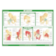 1041808_UK_Front_01_s_-Anatomy-of-the-Hip-Chart.png
