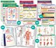 1041816_UK_Front_01_-Heart-Rate-Chart.jpg