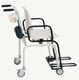 1044963_UK_Front_01_-seca-959-Class-III-Very-High-Capacity-Wireless-Scale.jpg