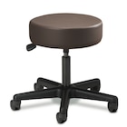 Standard Series Exam Stool Gunmetal 250lb Capacity