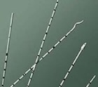 Tip Catheter 70cm