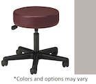Standard Series Exam Stool Country Mist 250lb Capacity