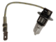1065331_UK_Front_01_s_-048-Light-12V55W.png