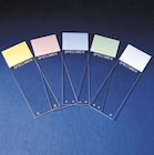 ColorFrost Plus Frosted Microscope Slide 3x1" Pink 10Gr/Ca