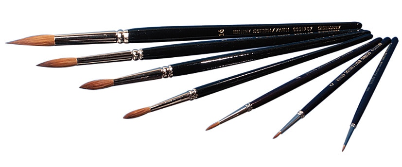 HS Red Sable Brush with Black Handle 8