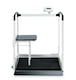 1074591_UK_Front_01_-seca-685-Class-III-Digital-Multifunction-Scale.jpg