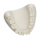 TePe mondhygiënemodel - beige/wit