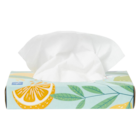 GreenSmart Facial Tissue White 2 Ply 200/Ca