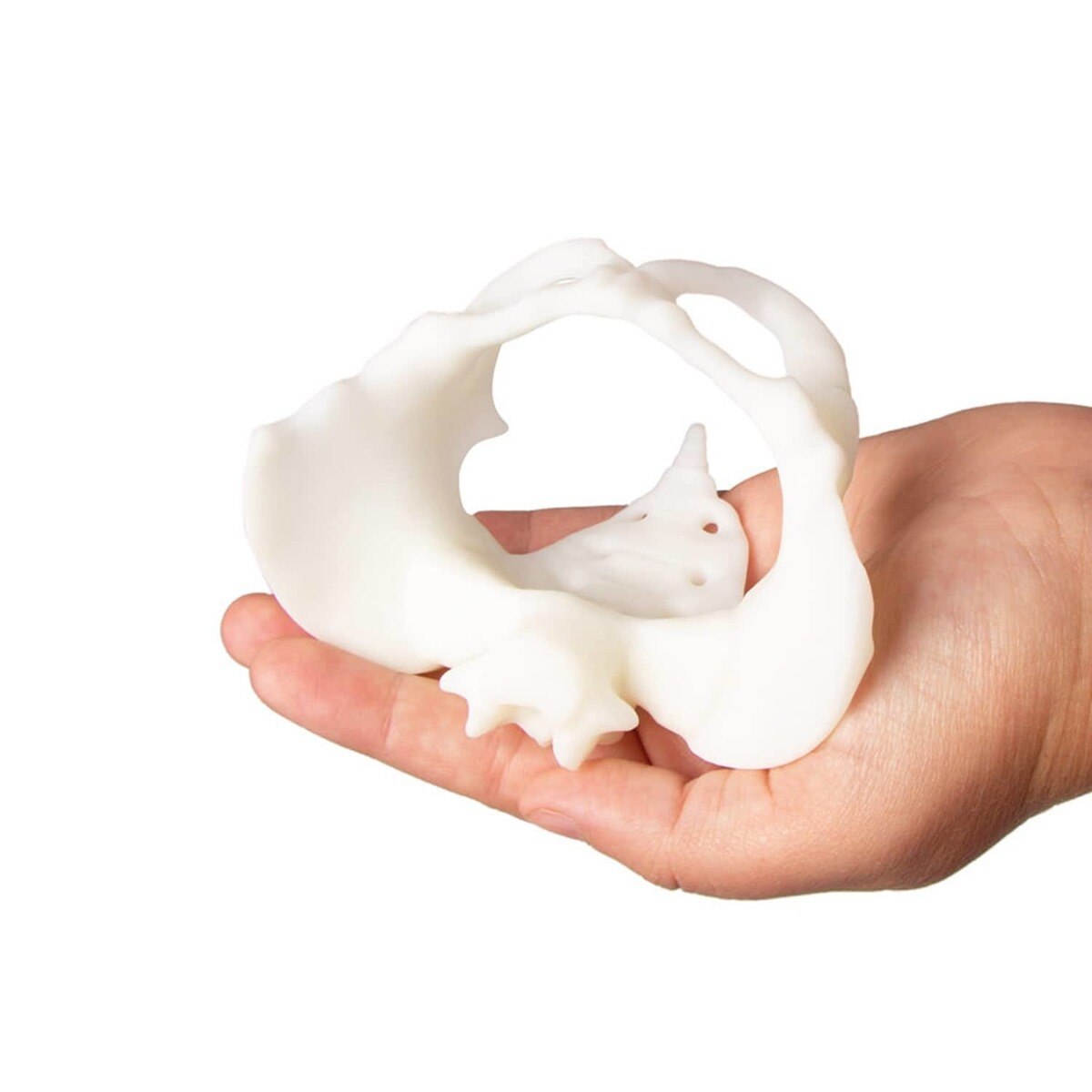 Miniatuur bekken + foetus - per set