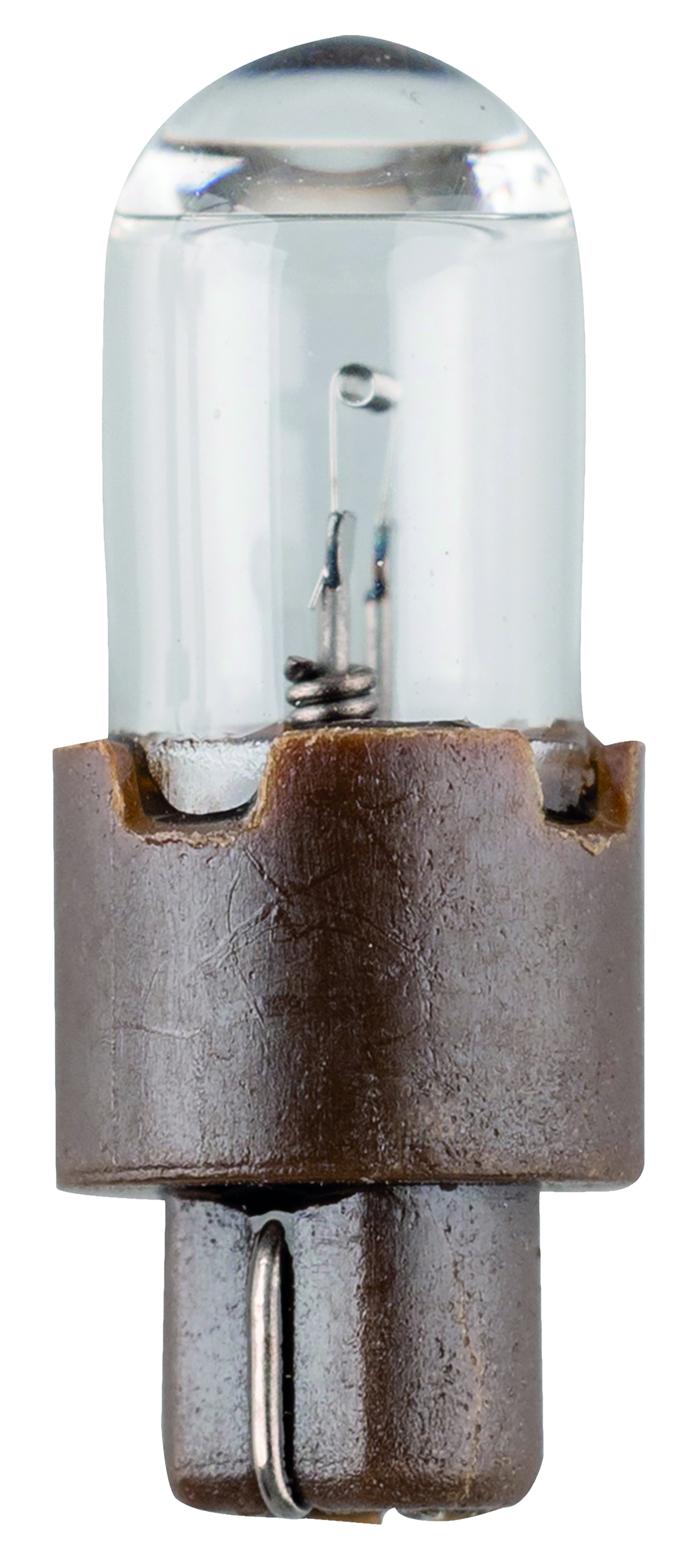 Bulb Fibre-Optic Brown