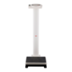 1088458_UK_Front_01_s_-seca-799-Class-III-Digital-Column-Scale.png