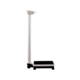 1088458_UK_Side_03_s_-seca-799-Class-III-Digital-Column-Scale.png