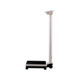 1088458_UK_Side_04_s_-seca-799-Class-III-Digital-Column-Scale.png
