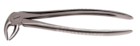 Cyber Forceps 13 Lower Bicuspids And Incisors