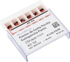 2Shape mini Gutta Percha points - ISO 040, taper .04, 60 stuks