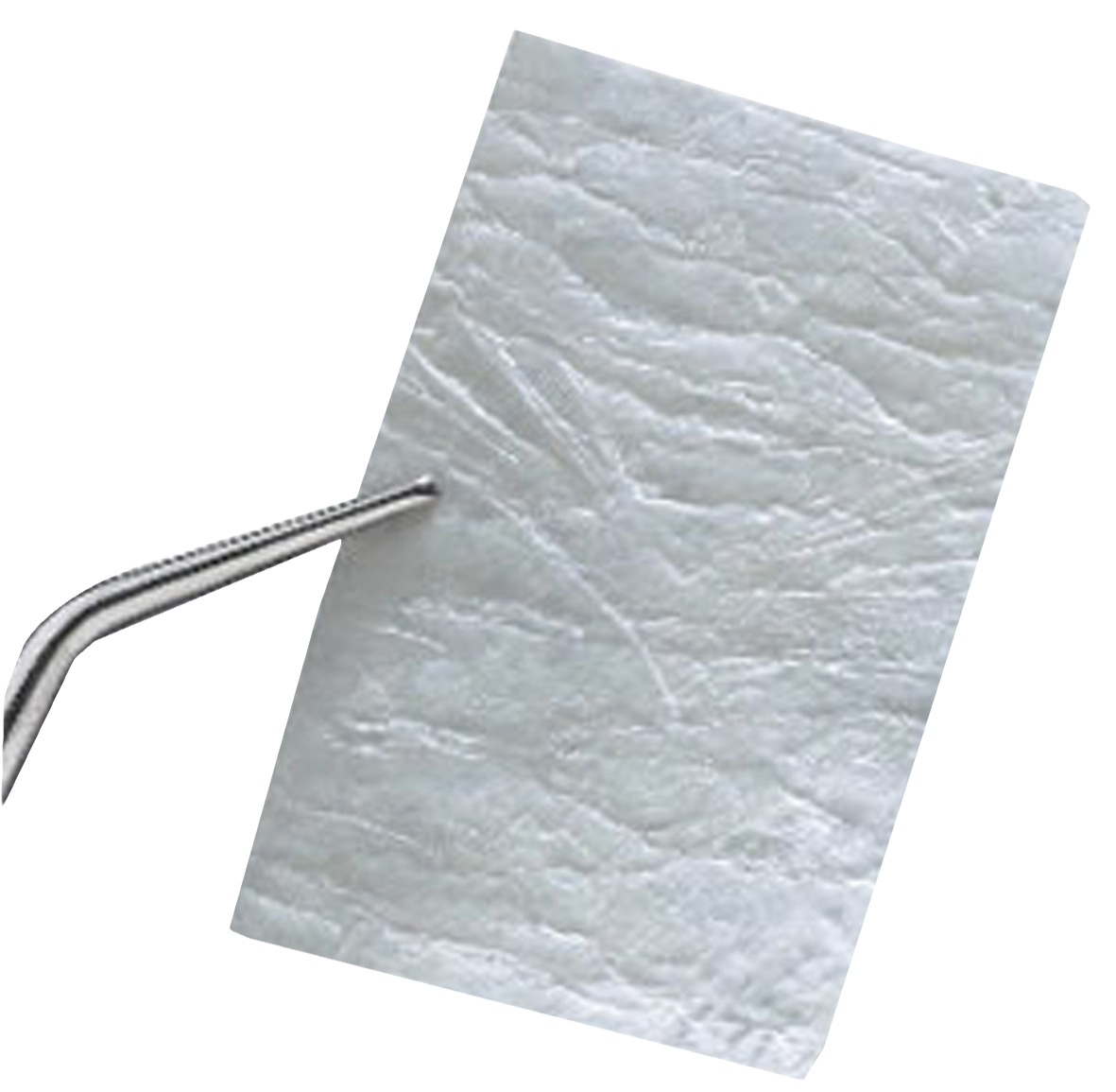 RCM6 Resorbable Collagen Membrane 20 x 30mm