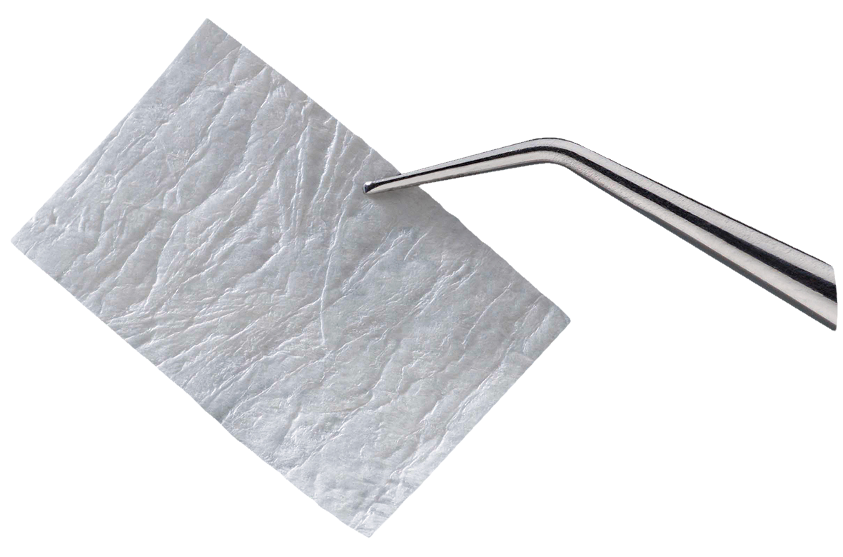 Resorbable RCM6 Resorbable Collagen Membrane 15 x 20mm