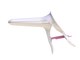 1093782_NL_Front_01.jpg