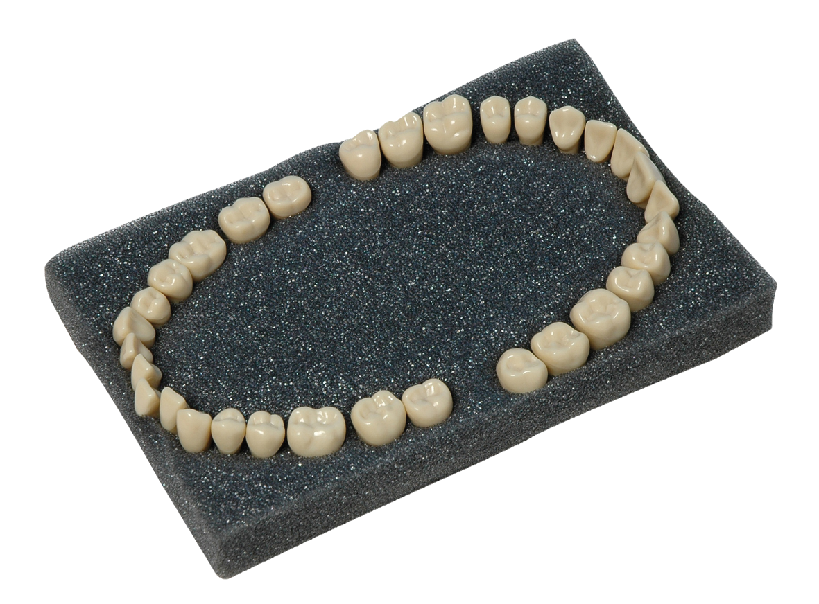 Teeth Set A-3Z 32pk