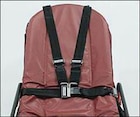 Harness Restraint Shoulder Set Ea