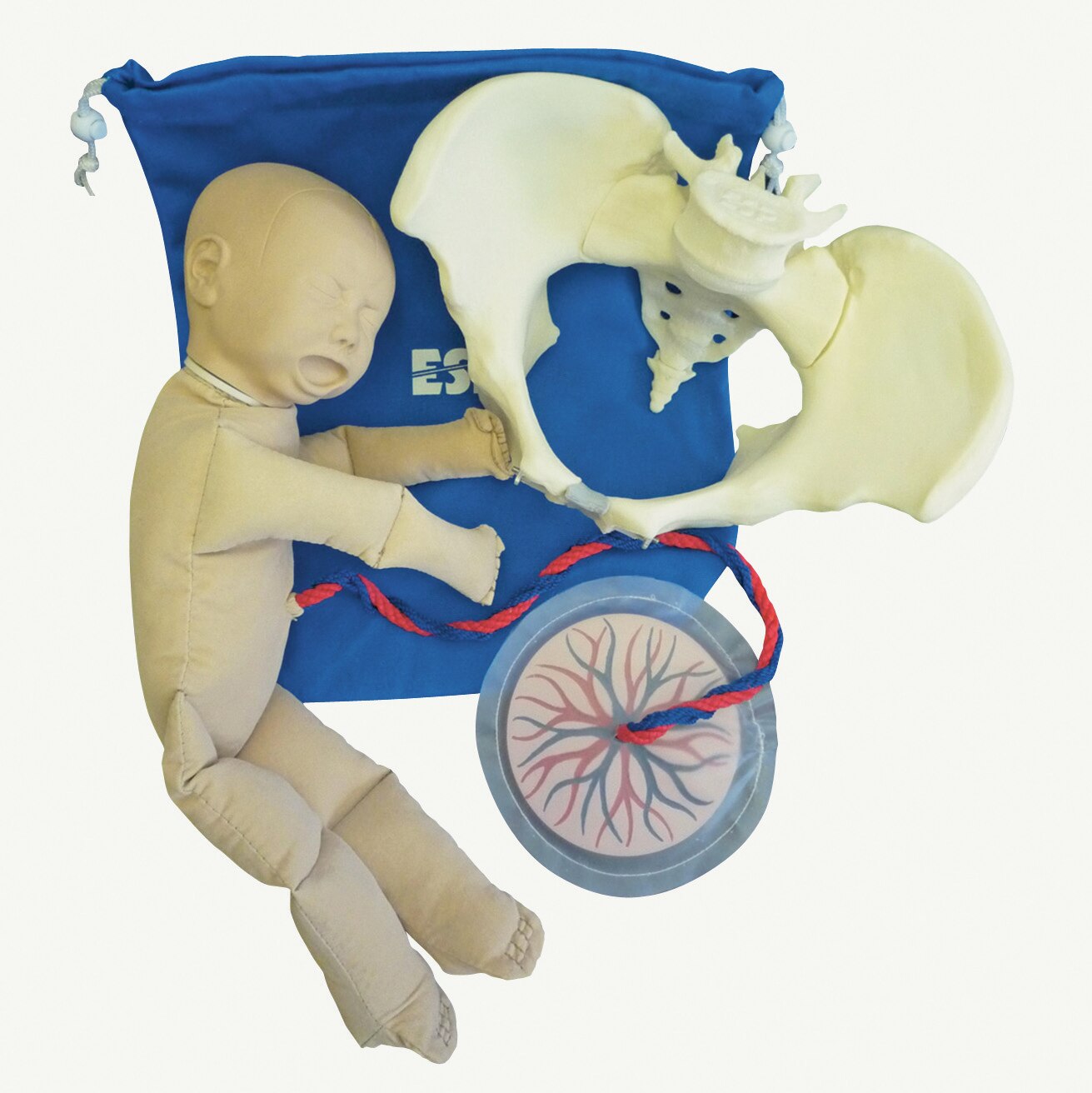 Birth Model Set