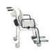 1115479_UK_Front_01_s_-seca-956-Class-III-Digital-Chair-Scale.png