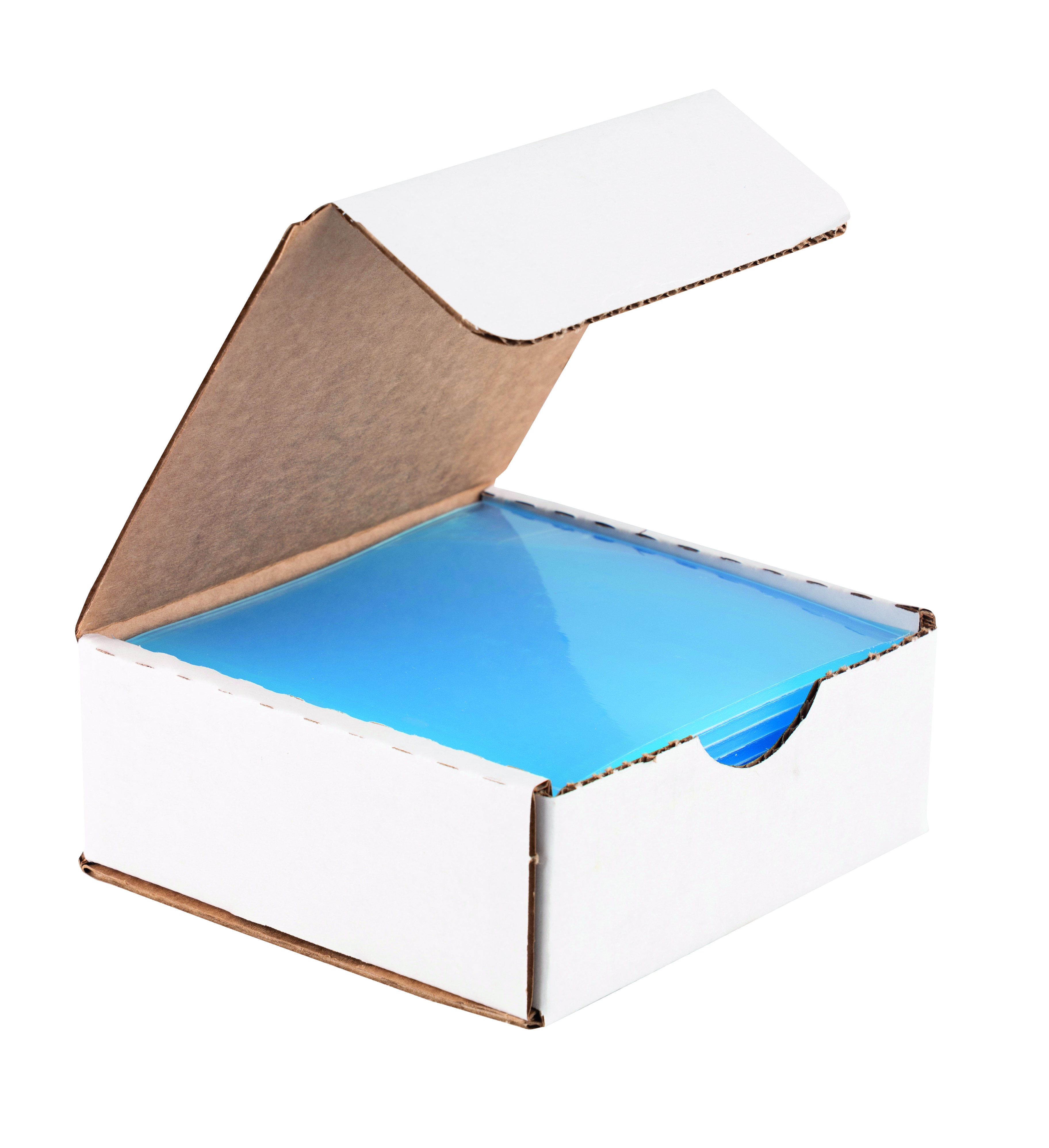 Blanks Mouthguard Clear 4mm 5Inch D 12pk