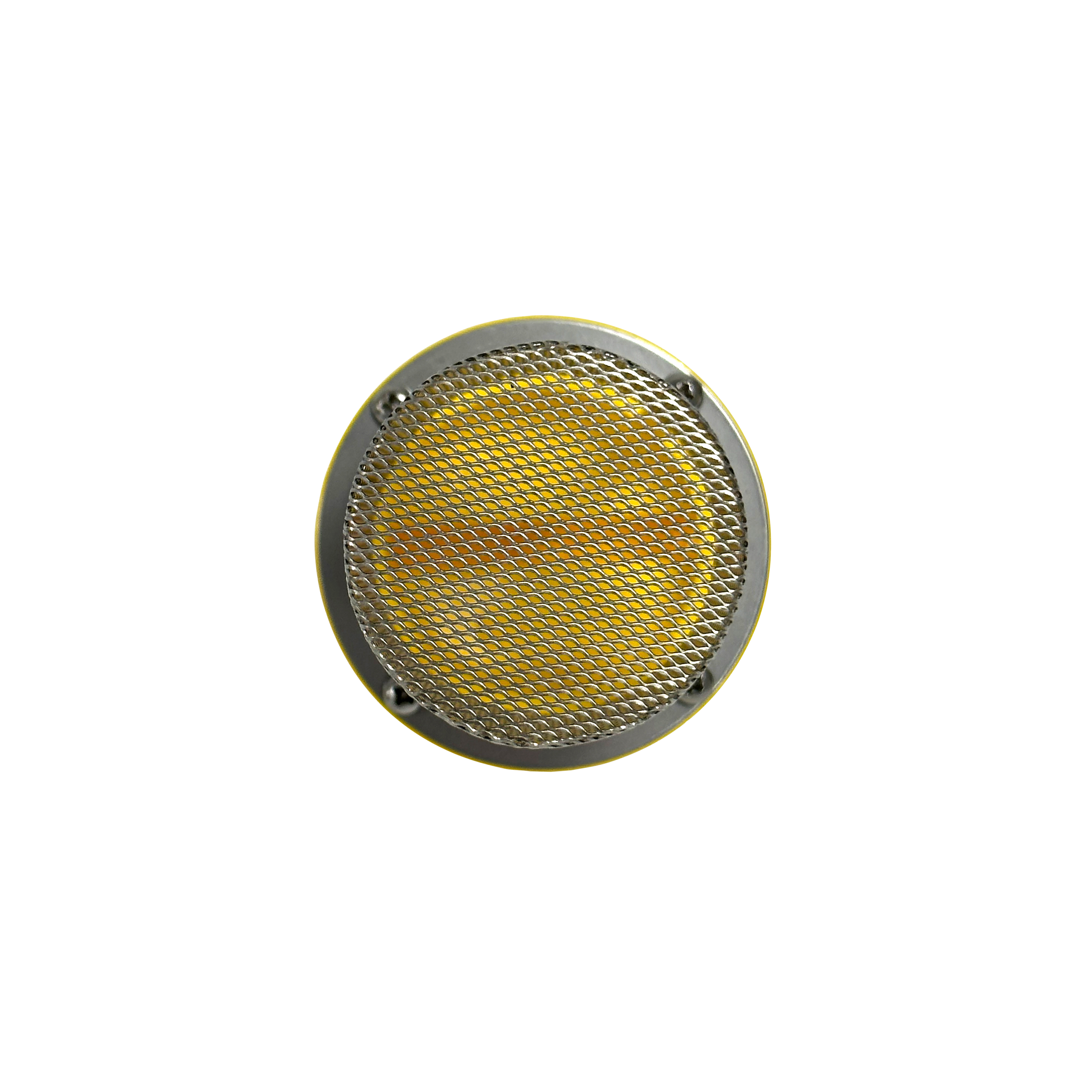 MicroSmart Inlet Debris Filter