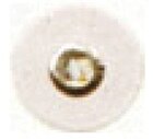 Maestro Polishing System Disc 100/Box