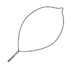 Polypectomy Snare 230cm Oval Large 32mm Firm Loop Wire Sterile Disposable 10/Cs