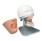 Dental Exercise Unit Complete with Phantom Head P-